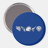 Farbreißer Magnet (Vorderseite/Rückseite)