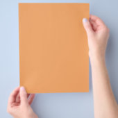 Farbsandbraun Flyer (Hand)