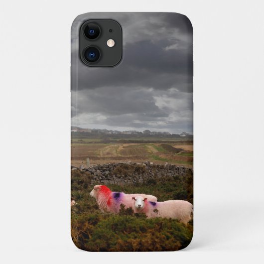 Farbschaf Case-Mate iPhone Hülle (Rückseite)