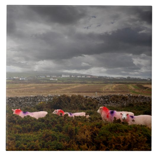 Farbschaf Fliese (Vorderseite)