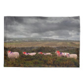 Farbschaf Kissenbezug (Rückseite)