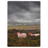 Farbschaf Klemmbrett (Rückseite)