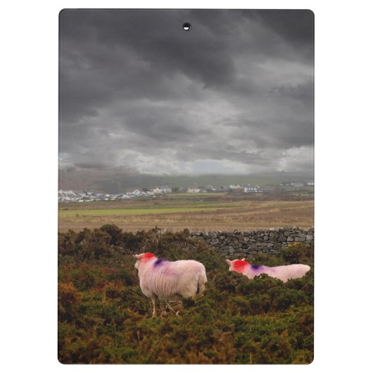 Farbschaf Klemmbrett (Rückseite)