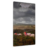 Farbschaf Klemmbrett (Rechts)