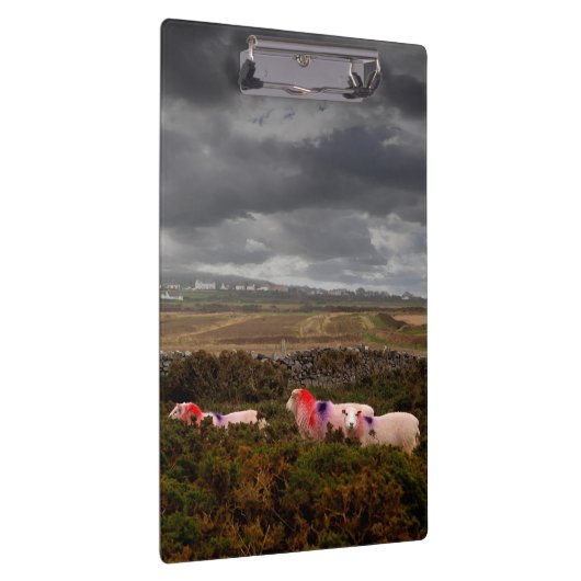 Farbschaf Klemmbrett (Rechts)