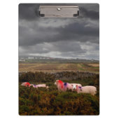 Farbschaf Klemmbrett (Vorderseite)