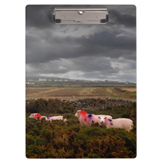 Farbschaf Klemmbrett (Vorderseite)