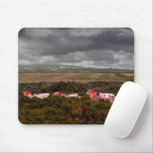 Farbschaf Mousepad (Mit Mouse)