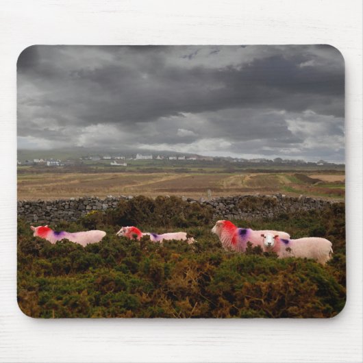 Farbschaf Mousepad (Vorne)