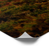 Farbschaf Poster (Ecke)