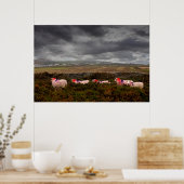 Farbschaf Poster (Küche)