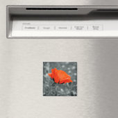 Farbschlüssel Poppy Magnet (In Situ (Geschirrspüler))