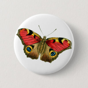 Farbschmetterling Button