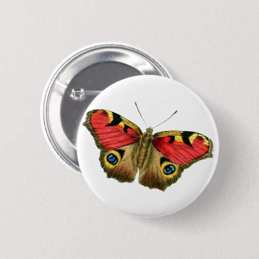 Farbschmetterling Button (Vorne & Hinten)