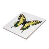 Farbschmetterling Fliese (Seite)