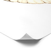 Farbschmetterling, großartiger Orangenspitze Poster (Ecke)