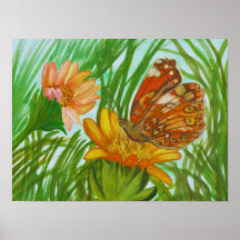 Farbschmetterling im Garten