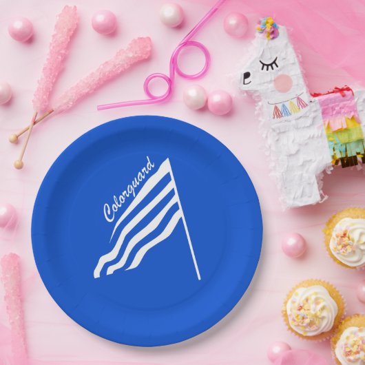 Farbschutzflagge Pappteller (Party)