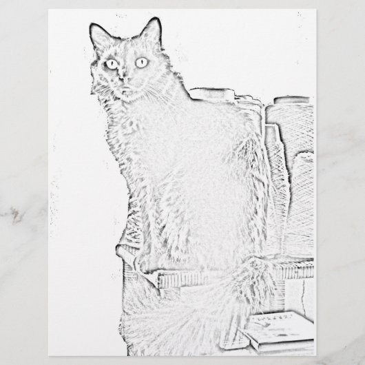 Farbseite - Katze mit Spools aus Garn (Vorderseite)