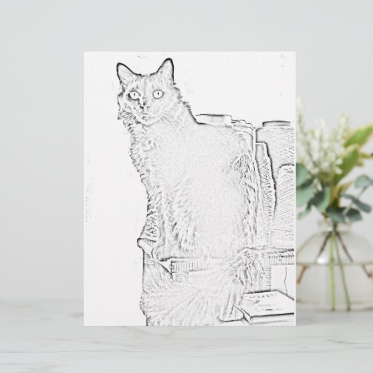 Farbseite - Katze mit Spools aus Garn (Stehend Vorderseite)