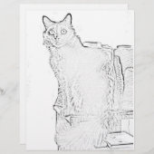 Farbseite - Katze mit Spools aus Garn (Vorne/Hinten)