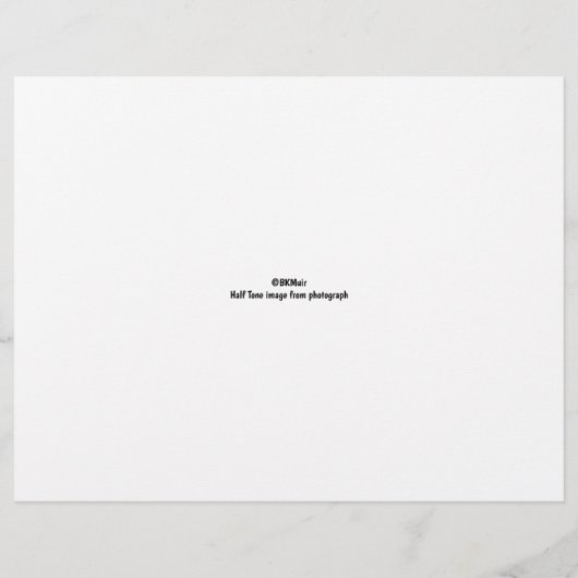 Farbseite - Katze mit Spools aus Garn (Rückseite)