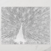 Farbseite - Pfau mit gefangenem Schwanz (Vorderseite)