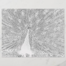 Farbseite - Pfau mit gefangenem Schwanz