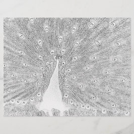 Farbseite - Pfau mit gefangenem Schwanz