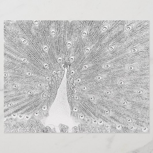 Farbseite - Pfau mit gefangenem Schwanz (Vorderseite)