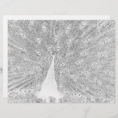 Farbseite - Pfau mit gefangenem Schwanz (Vorne/Hinten)