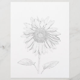 Farbseite - Sonnenblumen