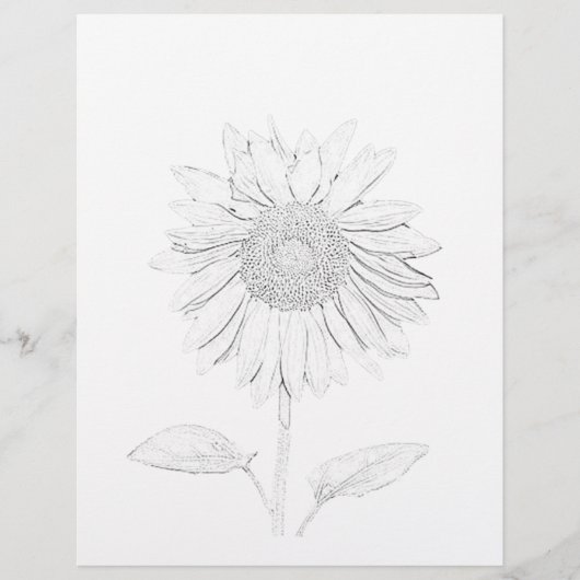 Farbseite - Sonnenblumen (Vorderseite)