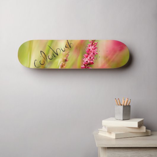 Farbskateboard Skateboard (Wandkunst (Horz))