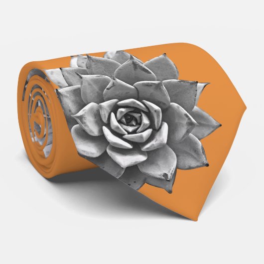 Farbstoffe Grau auf Orange Krawatte (Gerollt)