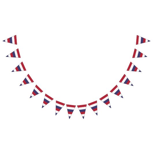 Farbstreifen - Rotes Blau Wimpelkette (Alle)