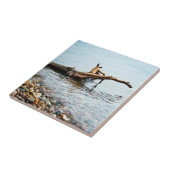 Farbtabelle Fliese (Seite)