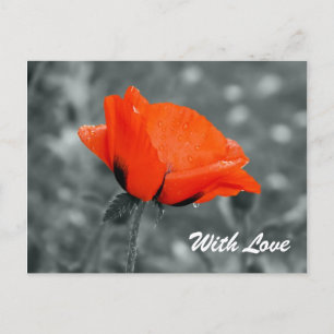 Farbtaste mit Liebe-Postkarte Postkarte