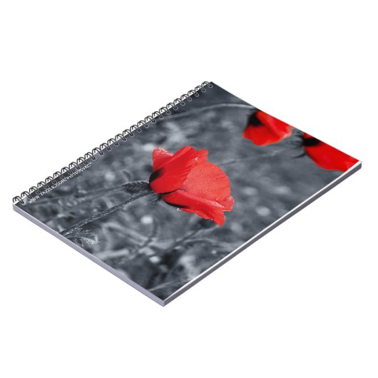 Farbtaste-Mop-Notebook Notizblock (Linke Seite)