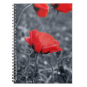 Farbtaste-Mop-Notebook Notizblock (Vorderseite)