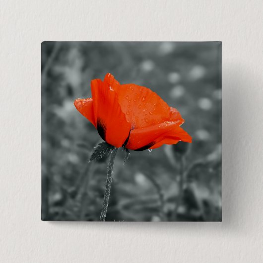 Farbtaste Poppy-Taste Button (Vorderseite)