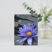 Farbtaste Tropische Wasserlilie Postkarte (Stehend Vorderseite)