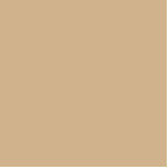 Farbton Freistehende Fotoskulptur<br><div class="desc">Farbe tan D2B48C,  braun</div>