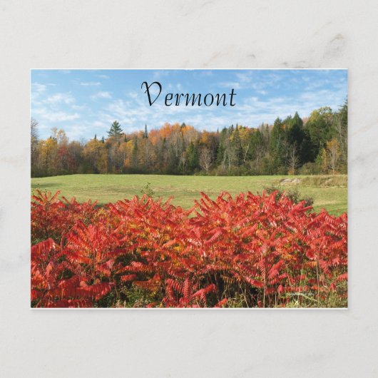 Farbton Postkarte (Vorderseite)
