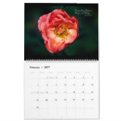 Farbtöne des 12-monatigen rosa Kalenders Kalender (Feb 2027)