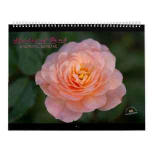 Farbtöne des 12-monatigen rosa Kalenders Kalender