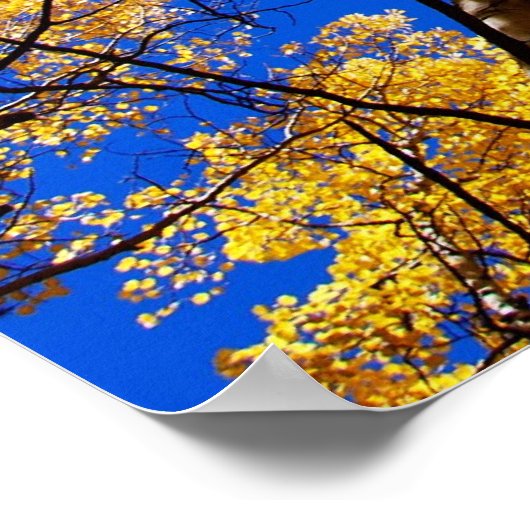 Farbträume Poster (Ecke)