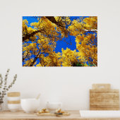 Farbträume Poster (Küche)