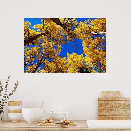 Farbträume Poster (Küche)