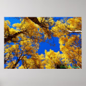 Farbträume Poster (Vorne)